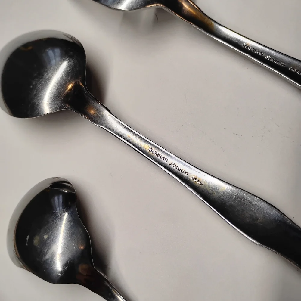 Northland Stainless Serving Fork & Spoons Oneida Carolina‎ Pattern Japan